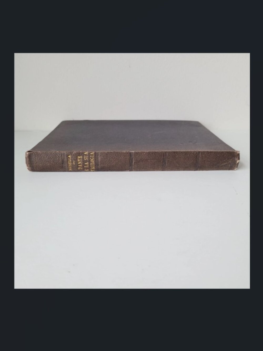Antique Book Dante e la sua Trilogia Musella Italy in Italian 1923? Not Reprint